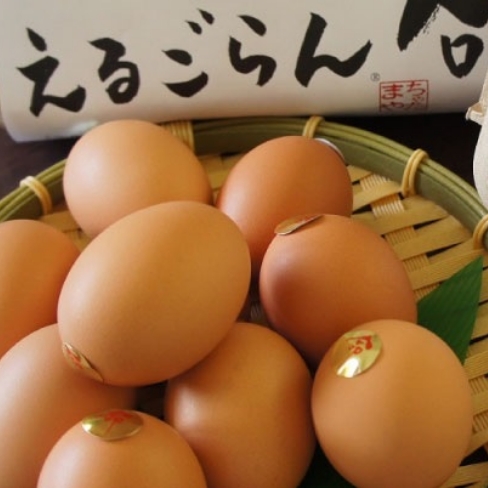 エルゴチオネイン応用製品