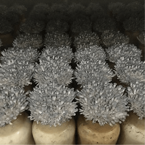 Reduced liquid inoculum
