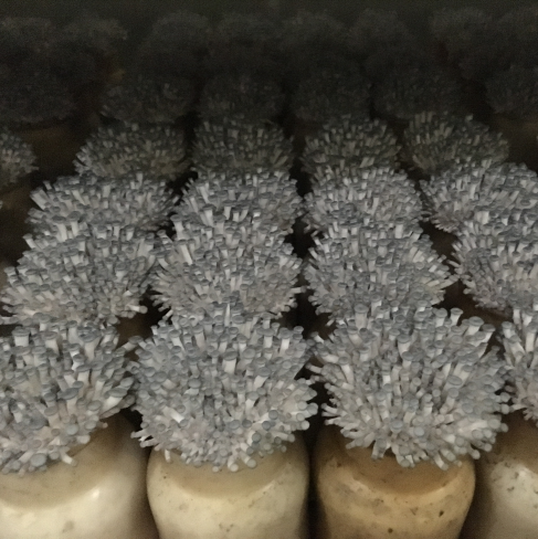 還元型液体種菌