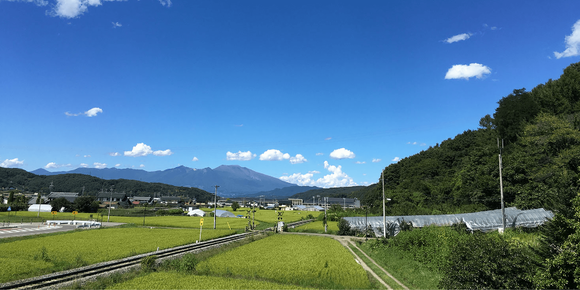 食用きのこ菌の応用技術を提供します